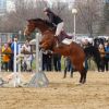 Тодоровден е, елитни коне и професионални състезатели излизат на манежа в Бургас