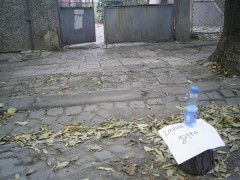 дърва