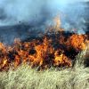 Пожар край Карнобат, четири екипа огнеборци са на мястото 