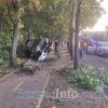 „Мазда” с бежанци се заби в дърво на бул. „Транспортна” в Бургас, пожарникари отварят колата (снимки)