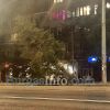 Дърво падна край ключовия бул. "Христо Ботев" в Бургас, удържаха го жиците на тролея