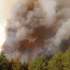 Голям пожар пламна в Сливен, застрашен е кръстът, закрилящ града