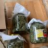 Полицията претърси дома на Стоян Мустаков в бургаския ж.к. „Зорница“, откри марихуана в буркани (СНИМКИ)