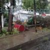 Ето какво остави ураганът в Бургас: Засипа града с паднали дървета, ламарини, изолации, прозорци  (СНИМКИ)