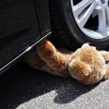 Шофьор на автобус блъсна майка с дете на пешеходна пътека в Свети Влас