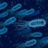 Бактериална инфекция уби 7 деца във Великобритания