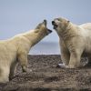 50 водещи световни учени алармират: Глобалното затопляне се ускорява безпрецедентно