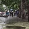 Meteo Bulgaria: Очаква се втори циклон с трицифрени количества дъжд за 7-8 октомври, най-много ще вали пак край морето