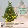 Инициативата „Коледа е, когато сме заедно” насърчава поморийци да засадят елхичките си след празника