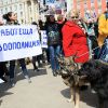 Протести в цялата страна срещу насилието над животни и в защита на кучето Мечо
