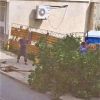 Глоба за строителни работници, отрязали здраво дърво в Бургас