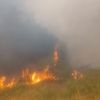 Нов огнен кошмар в Бургаско: Горят треви върху дюни край Несебър, няма близко свободни пожарни