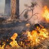 Пожарът край Малко Търново е погасен напълно