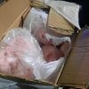 2,2 тона овчи изрезки и банички заловиха при проверка на автобуси край Созопол