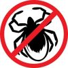 Започват да пръскат срещу акари в Бургас