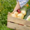 Фермерските пазари на Lidl продължават с издание в Слънчев бряг