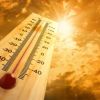 Абсолютен рекорд: 52°С в Турция