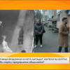 Глутница кучета броди из Бургас 