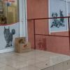 Бургаска ветеринарна клиника в битка срещу безчовечността към животните: Нека бъдем глас на тези, които не могат да говорят!
