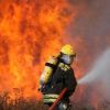 Пожар тръгна в гората над Свети Влас