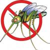 До петък ще продължи пръскането срещу комари в Бургас