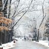Каква зима ни очаква? Прогнозата на климатолога Симеон Матев