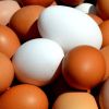 Яйцата започнаха да поскъпват месец преди Великден