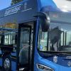 Див екшън в автобус в Бургас: Смахнат нападна кондукорката, заплаши с отвличане