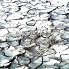 100 000 души от 60 общини са засегнати от воден режим