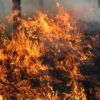 25 къщи изгорели до момента в пожара край Банево