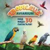 AVIARIUM със свободно пуснати папагали отваря врати в Бургас