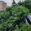 ОДМВР – Бургас разкри нови подробности за катастрофата с мигранти край „Зорница“. Ето какво е състоянието на ранените