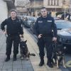За сигурността в Бургас: Полицаи с кучета ще патрулират в центъра и край гарите