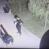 Издирват се младежи за вандализъм в Борисовата градинка