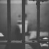 Доживотна присъда за австриец, убил български тийнейджър във Виена