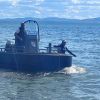 Бедстващ делфин е спасен в Поморие