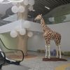 От понеделник: Детски кардиолог ще преглежда в болница „Света Анастасия" в Бургас