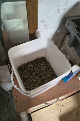 46-годишен стяга зимнина с марихуана в "Горно Езерово", полицията го задържа