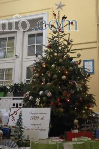 Елха на доброто за най-уязвимите дечица грейна в Бургас, Областният управител: Нека отворим сърцата си!