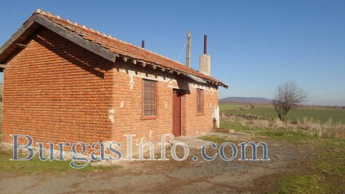 Избори във Вълчин