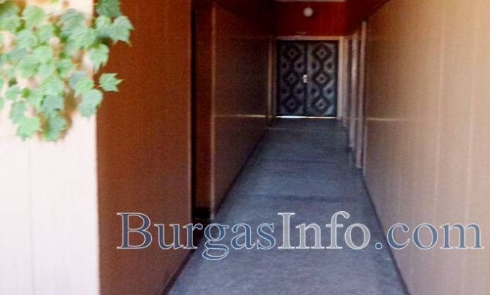 Избори във Вълчин