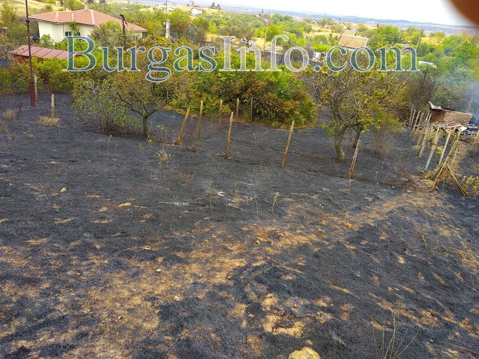 Пожарът в „Каптажа“: Огънят е локализиран, изгорели са 40 дка сухи ...