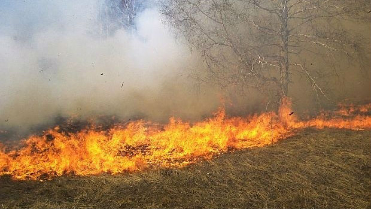 Огромен пожар блокира пътя Слънчев бряг-Обзор: Пет противопожарни коли ...