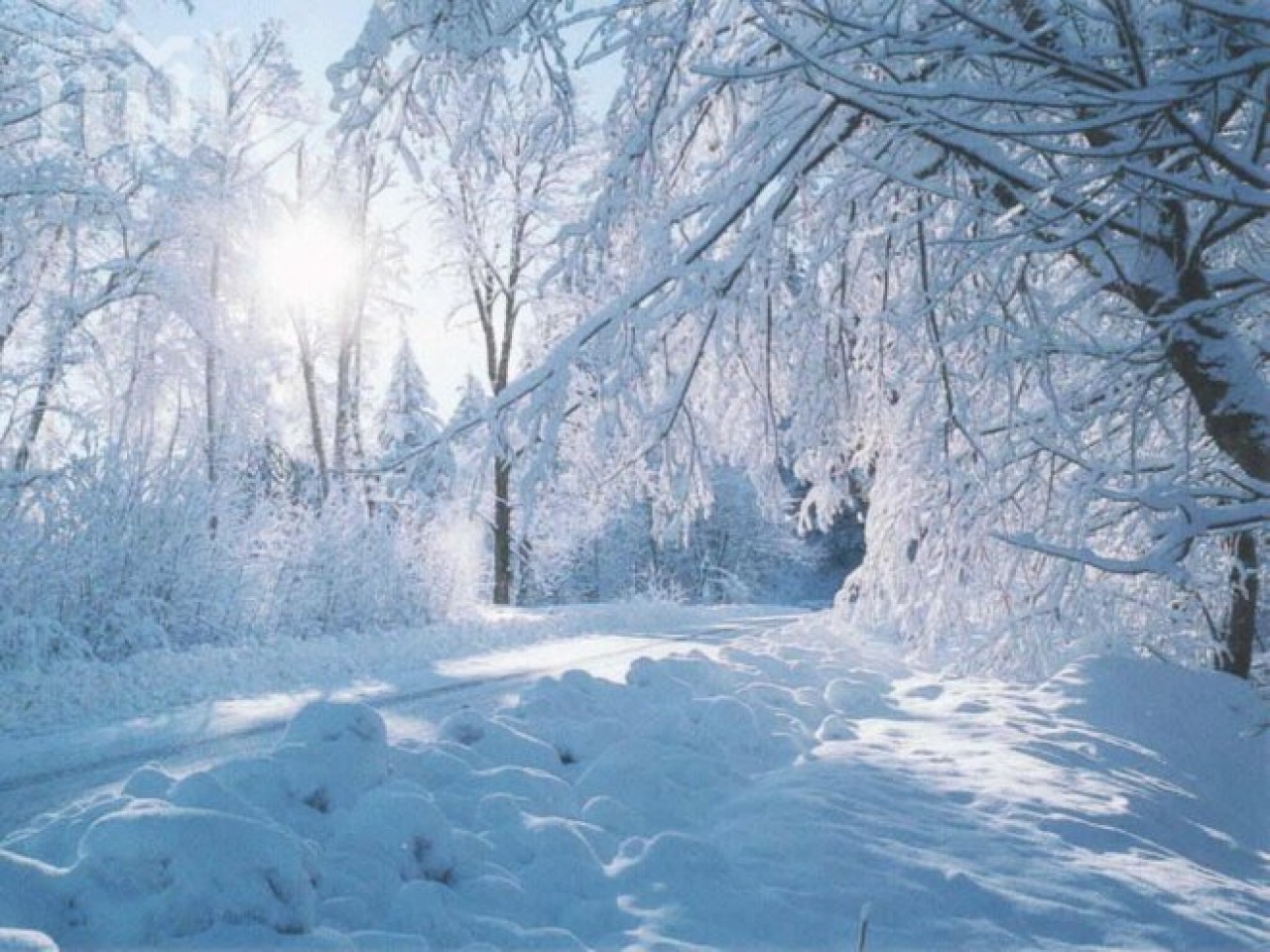 Снег 5 декабря. Зима. Зима пейзаж. Зимушка зима. Снежная зима.